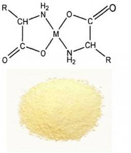 Managense Amino Acid Complex