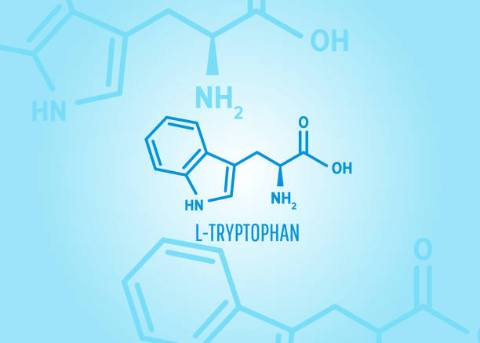 L-Tryptophan