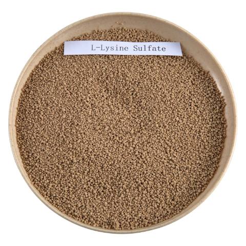 L-Lysine Sulphate