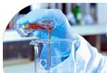 Safe Basifying agent