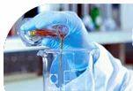 Modified Safe Basifying agent