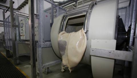 Enzymatic Degreasing