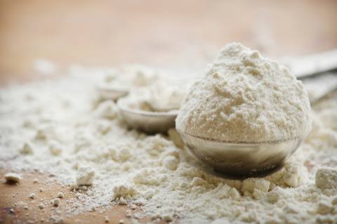 Protein Filler