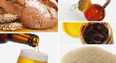 Yeast Extract