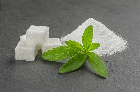 Stevia