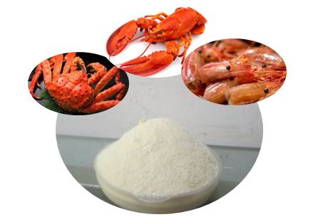 Chitosan Cas 9012-76-4