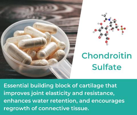 Chondroitin