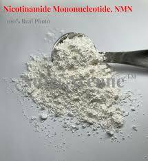 Nicotinamide Mononucleotide