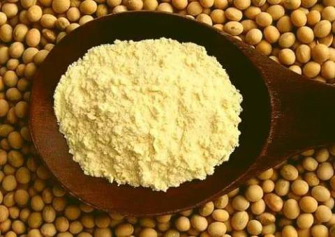 Soya Concentrate
