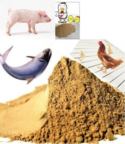 Yeast Extract Powder (FEED Grade)