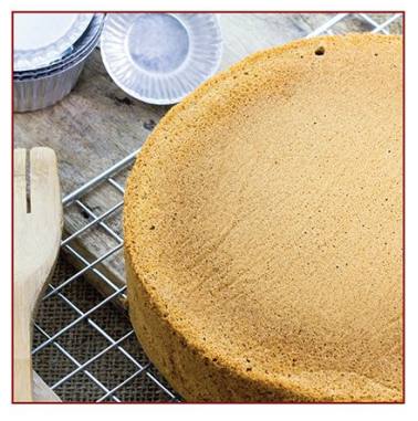 Concentrate for Vanilla Sponge with Egg