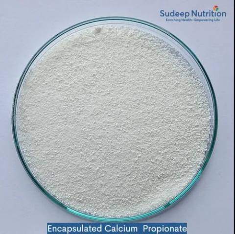Encapsulated Calcium Propionate