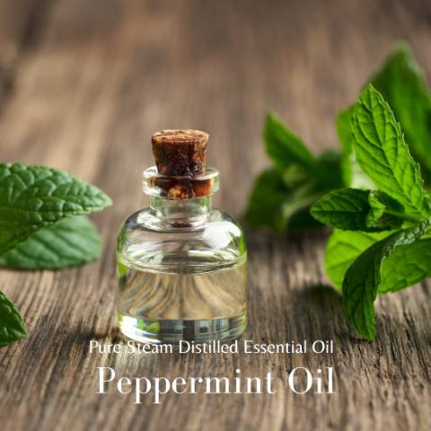 Peppermint Oil