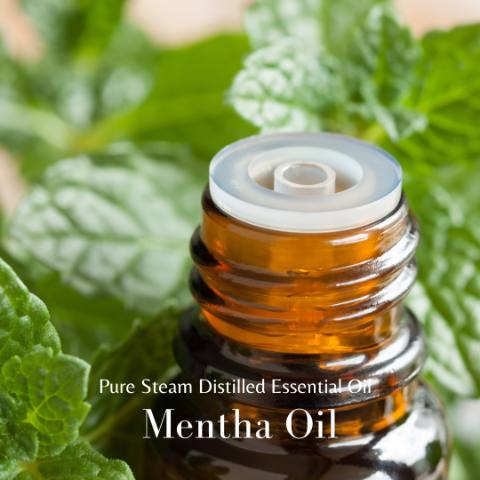 Mentha Oil