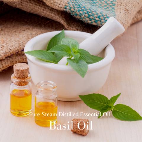 Basil Oil